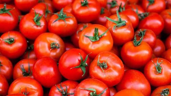 Preserving Tomatoes: A Step-by-Step Guide